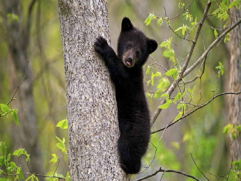 南京33岁试管怀孕（韩国电视剧试管）